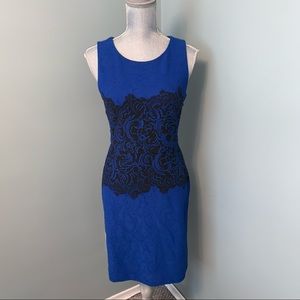 Elegant Blue and Black Midi Dress